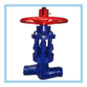 Globe valve BW